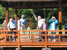 group in pergola